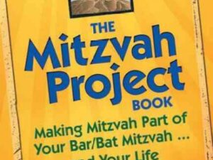 the mitzvah project book